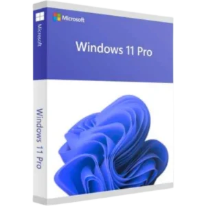 Windows 11 Pro