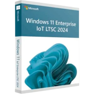 Windows 11 Enterprise IoT LTSC 2024 key